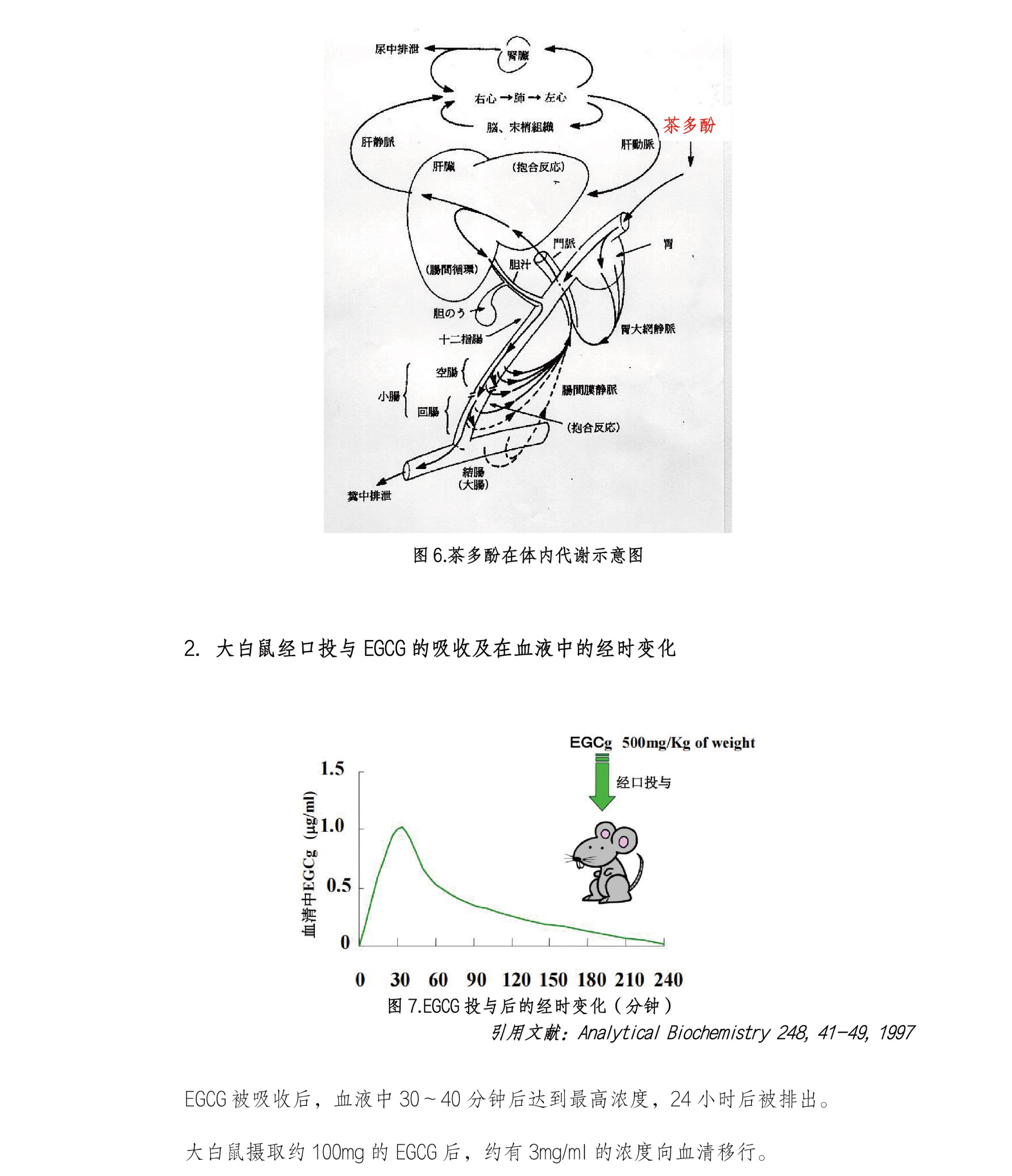 圖片關(guān)鍵詞
